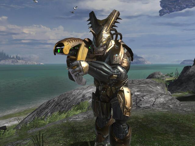 File:1205033976 Brute Chieftain Gold.jpg