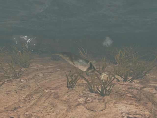 File:High Ground Fish-Full.jpg