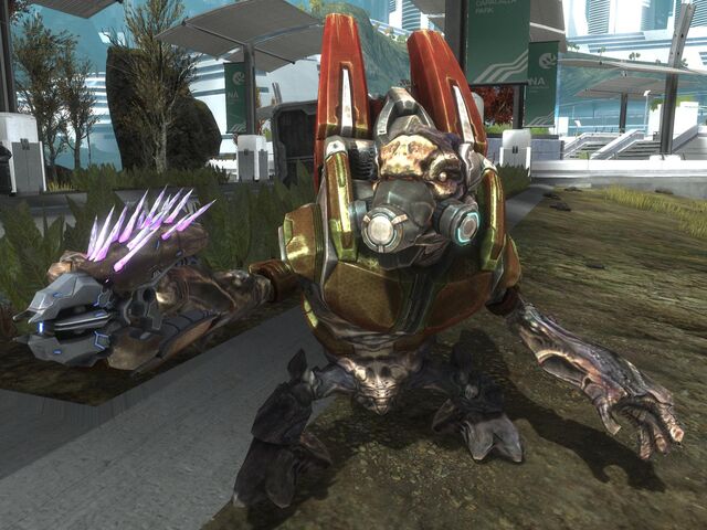 File:Grunt Mayor HR.jpg