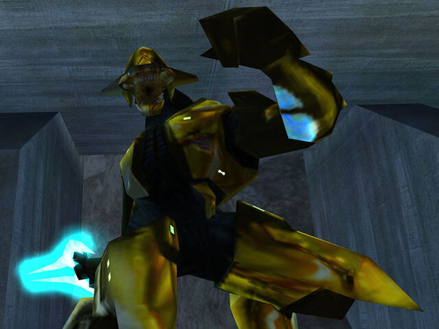 File:Goldlunge.jpg