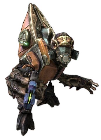 Datei:Grunt left.jpg