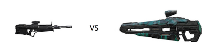 DMR VS Light Rifle