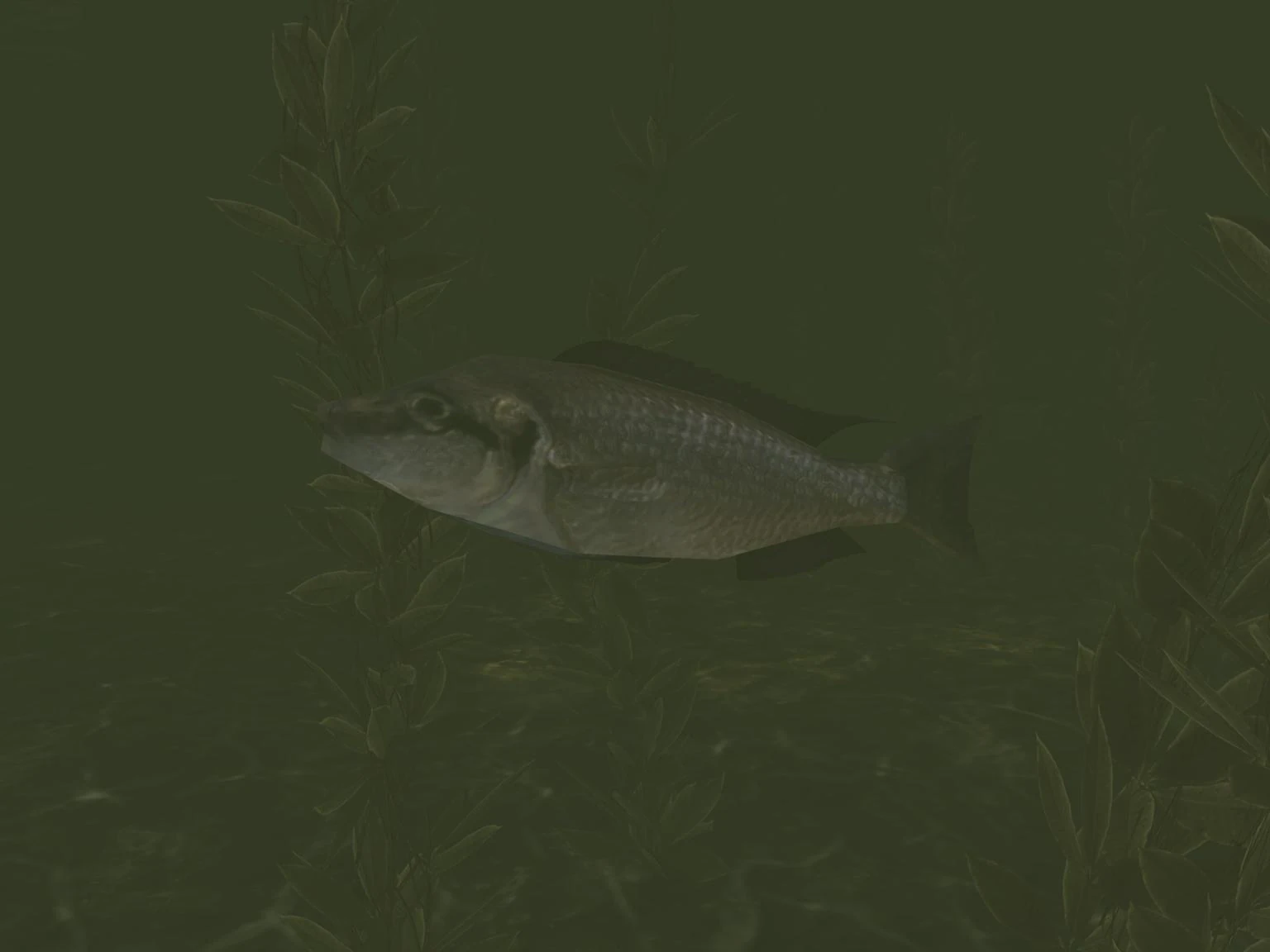 Fish (Sierra 117 habitat) Halo Nation Fandom powered by Wikia