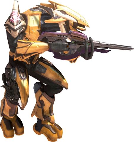 File:1208527543 Elites standard 2.jpg