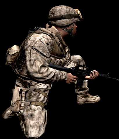 File:COD4 Marine.png