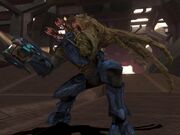 CombatForm.jpg