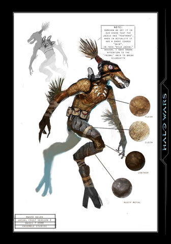 File:Jackal warrior.jpg