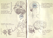 Interfaz neural