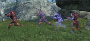 Ologramma