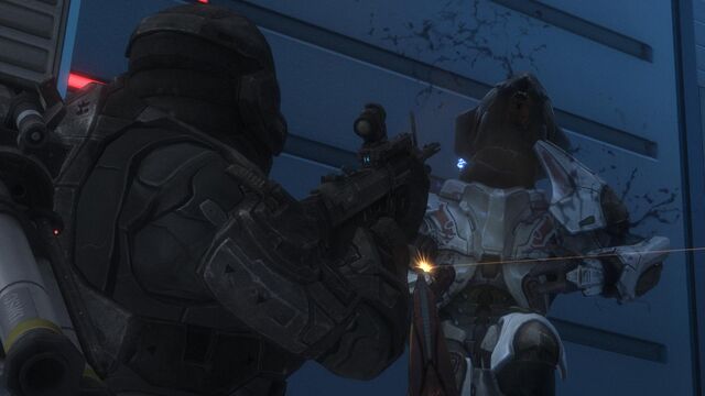 File:Reach 26464155 Full.jpg