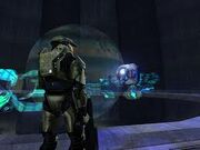 343.jpg