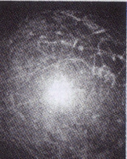 File:The Tacitus.jpg