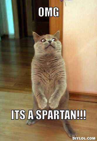 File:Horrorcat-meme-generator-omg-its-a-spartan-f89abe.jpg