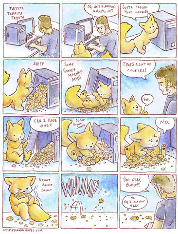 File:Firefoxcookies.jpg