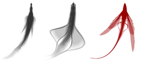 Anisoptera Omnesterram.png
