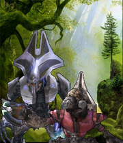 Isacsygrunt