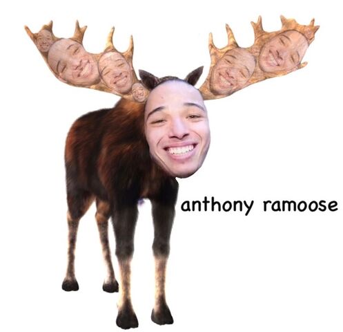 File:Ram.jpg