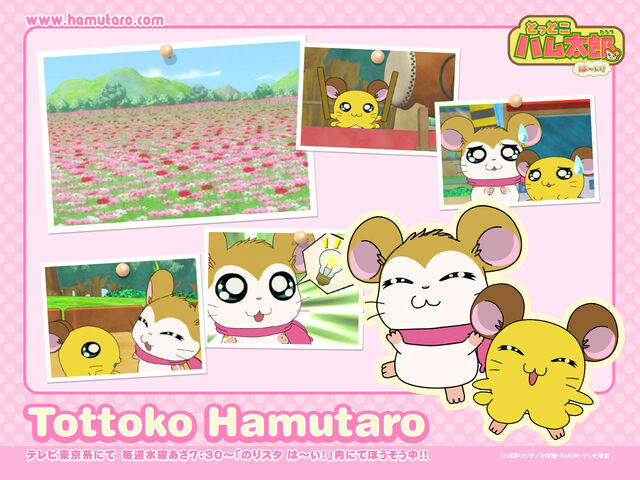 File:Mafurachibi1280.jpg