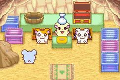 Rubrub room