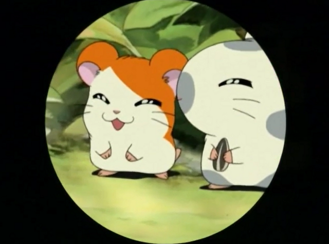 File:19054.png
