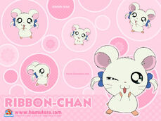 Ribbon 800 bg