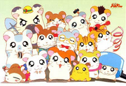 Ham-hams.png