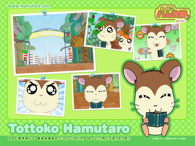 File:Noppo1280.jpg