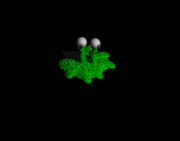 Moss Grande
