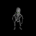 SkeleTON