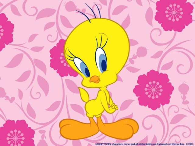 File:.028 Tweety & Zachary 28 24 48 24.jpg
