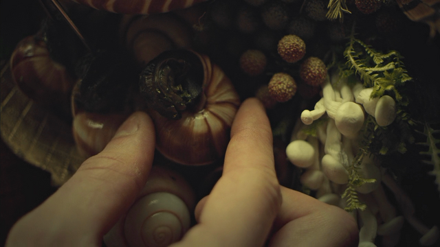 File:Hannibals Dishes S03E05 01.png