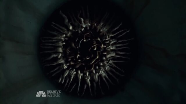 File:Hannibal S02E02 Sakizuki.mkv 001358190.jpg