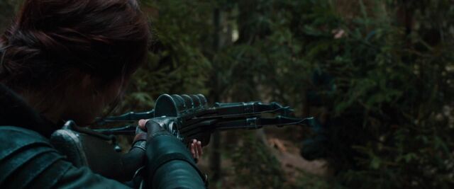 File:With crossbow.jpg
