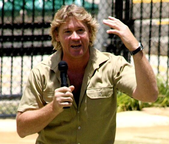 File:SteveIrwin.jpg