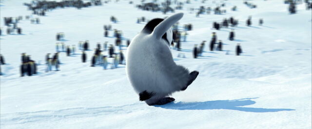 File:Happy-feet-disneyscreencaps.com-1914.jpg