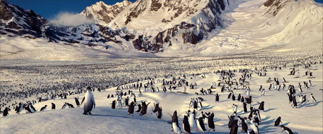 File:Happy-feet-disneyscreencaps.com-4326.jpg