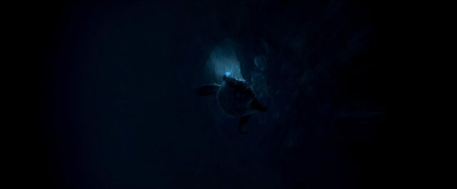 File:Happy-feet-disneyscreencaps.com-4015.jpg