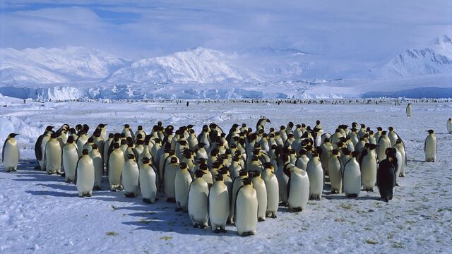 File:Antarctica-3.jpg