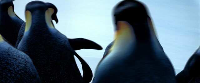 File:Happy-feet-disneyscreencaps.com-1081.jpg