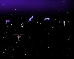 Plankton collage