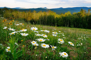 Adirondack-view
