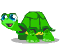 Green Turtle 2