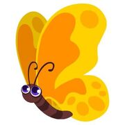 Yellow Karner Butterfly