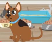 Mystery Dog