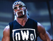 Hulk-hogan-nwo