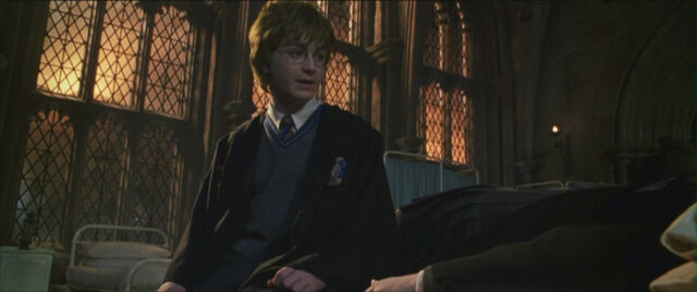 File:Chamber-of-secrets-harry-and-hermione.jpg