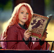 Quibbler-Luna