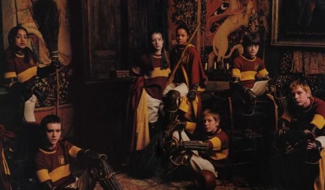 File:Qteamgryffindor.jpg