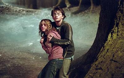Rhs harrypotter430,0.jpg