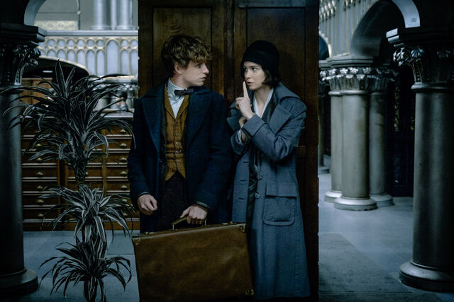 File:Fantastic Beasts Stealth.jpg